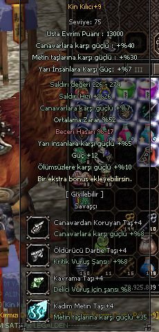 +9 kin full evrim +35 metin taşlı